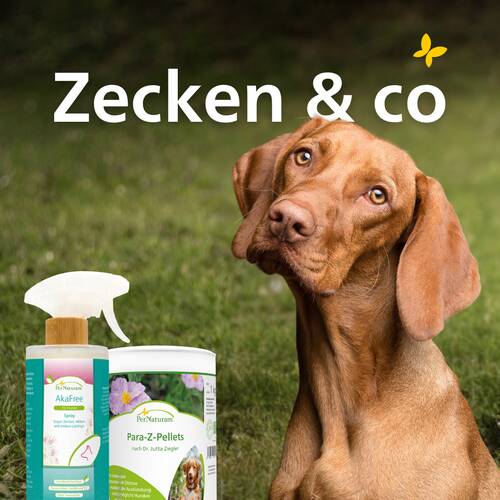 Teken & Co