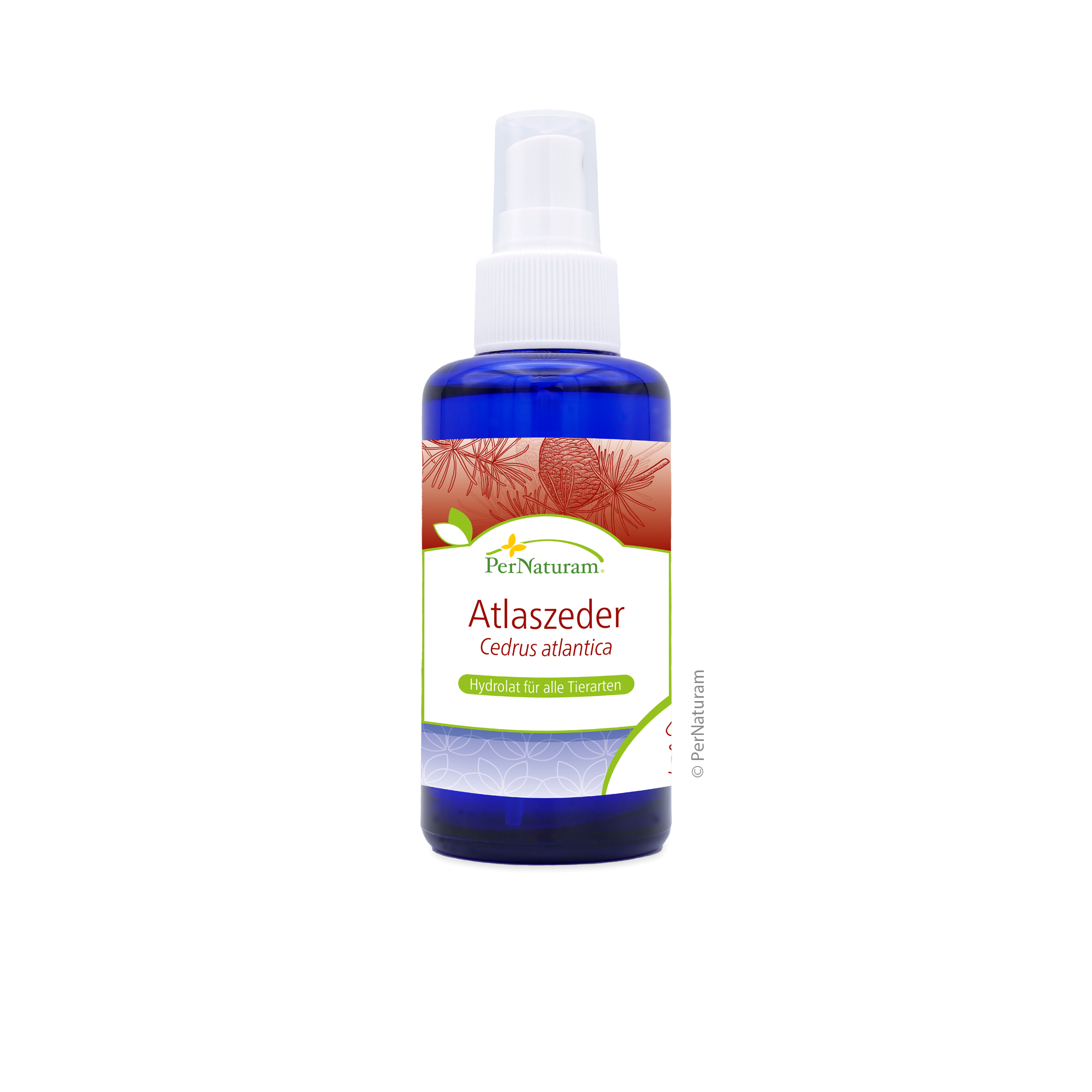 Atlasceder Hydrolaat (100 ml)