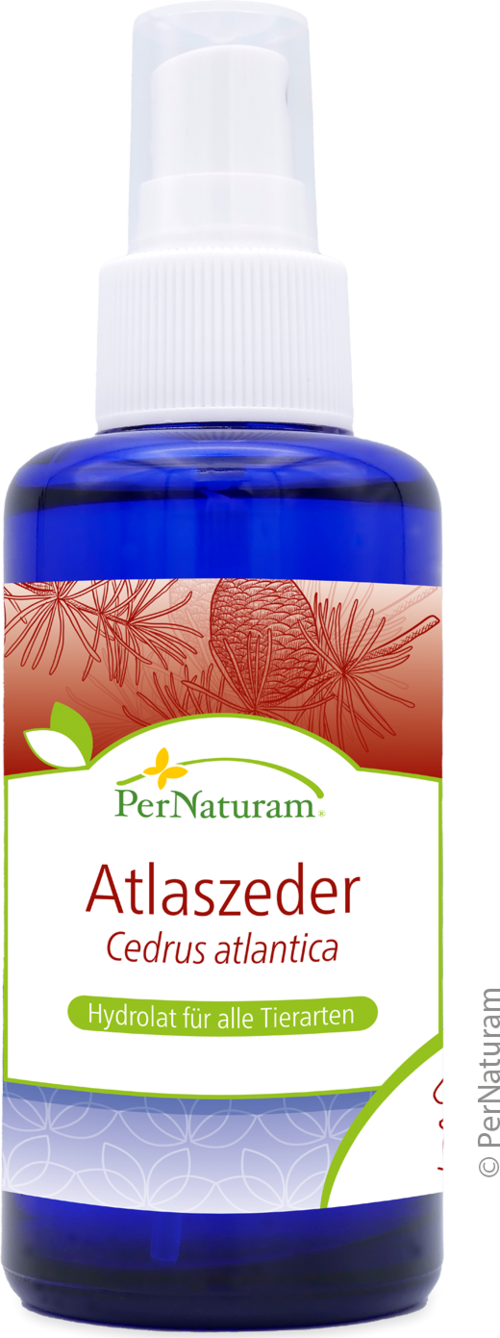 Atlaszeder Hydrolat (100 ml)