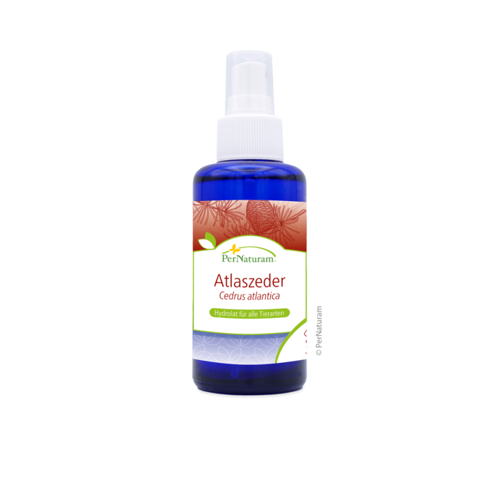 Atlasceder Hydrolaat (100 ml)