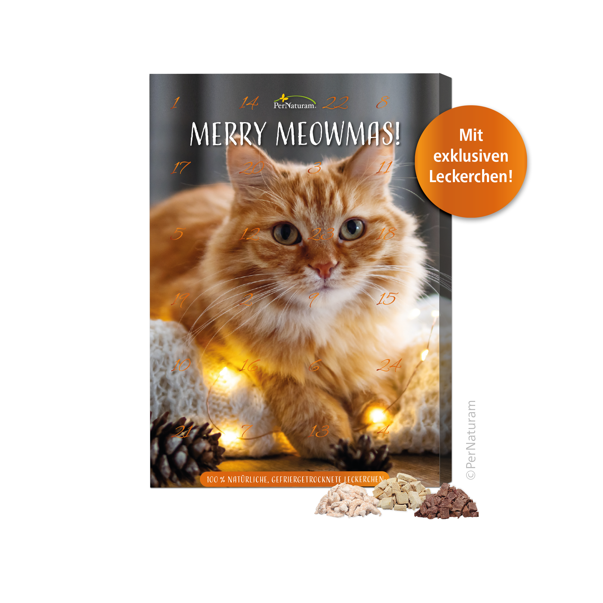 Adventskalender für Katzen