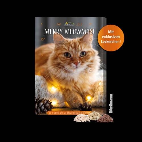 Adventskalender für Katzen