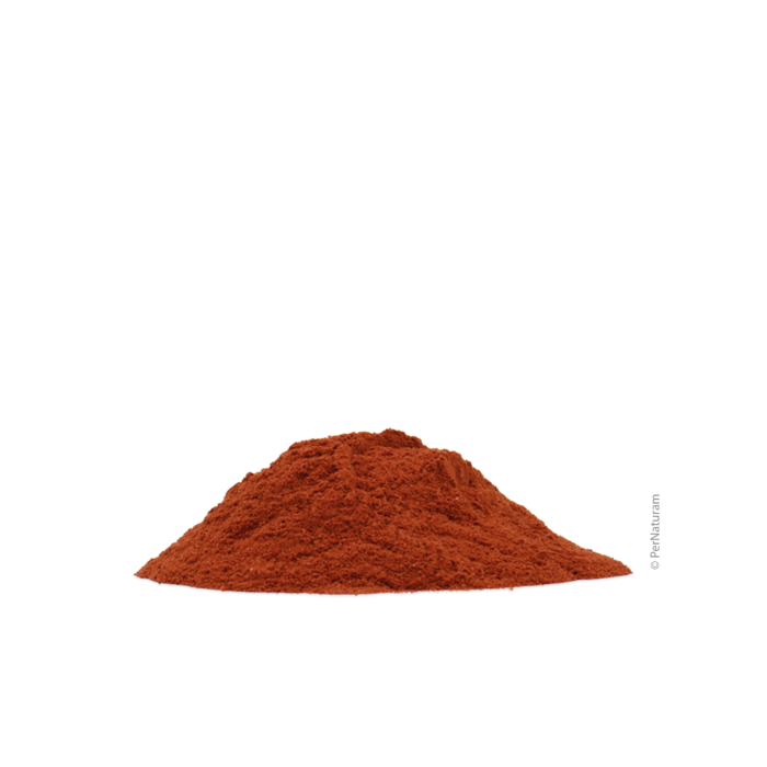 Ascodent Plus