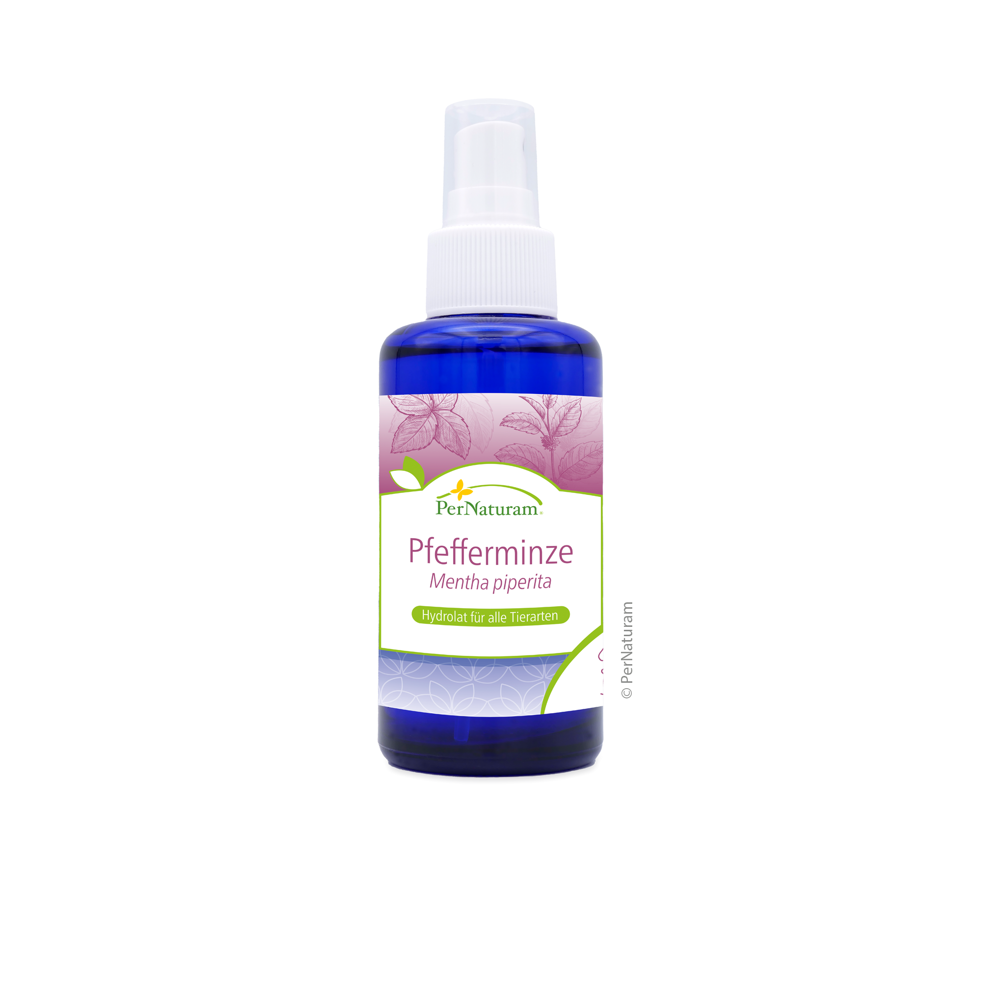 Pepermunt hydrolaat (100 ml)