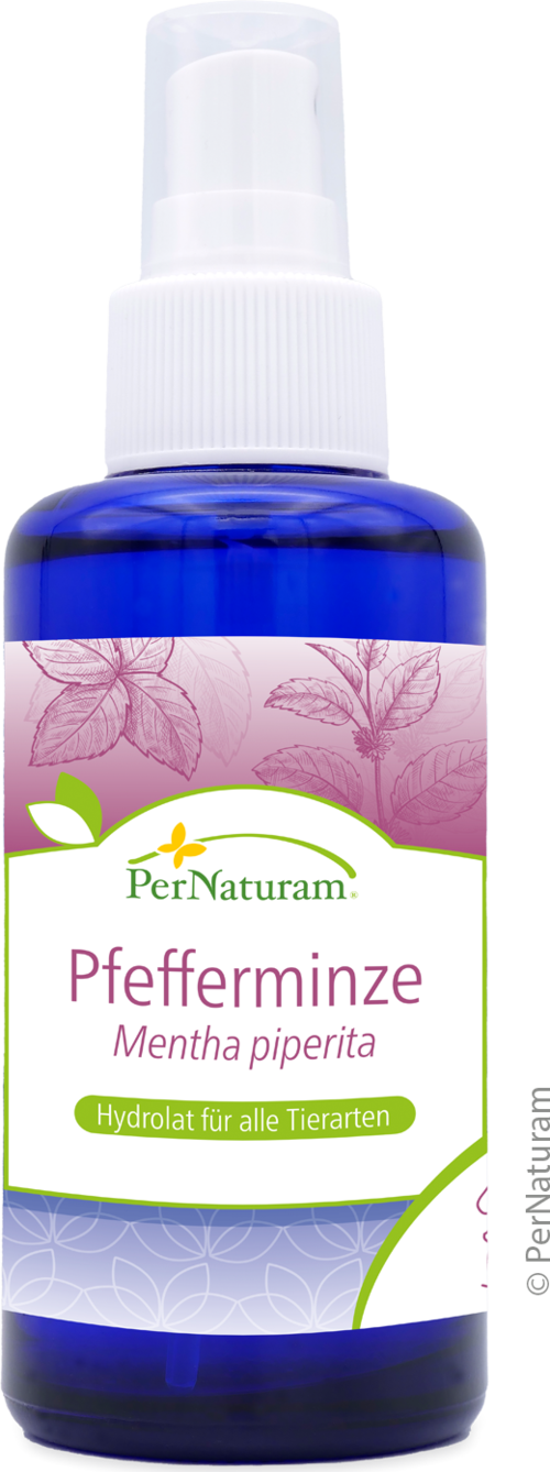 Pepermunt hydrolaat (100 ml)