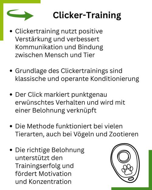 Clickern Summary