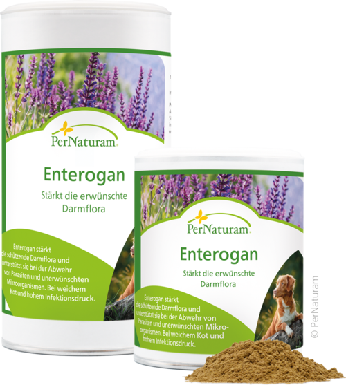 Enterogan