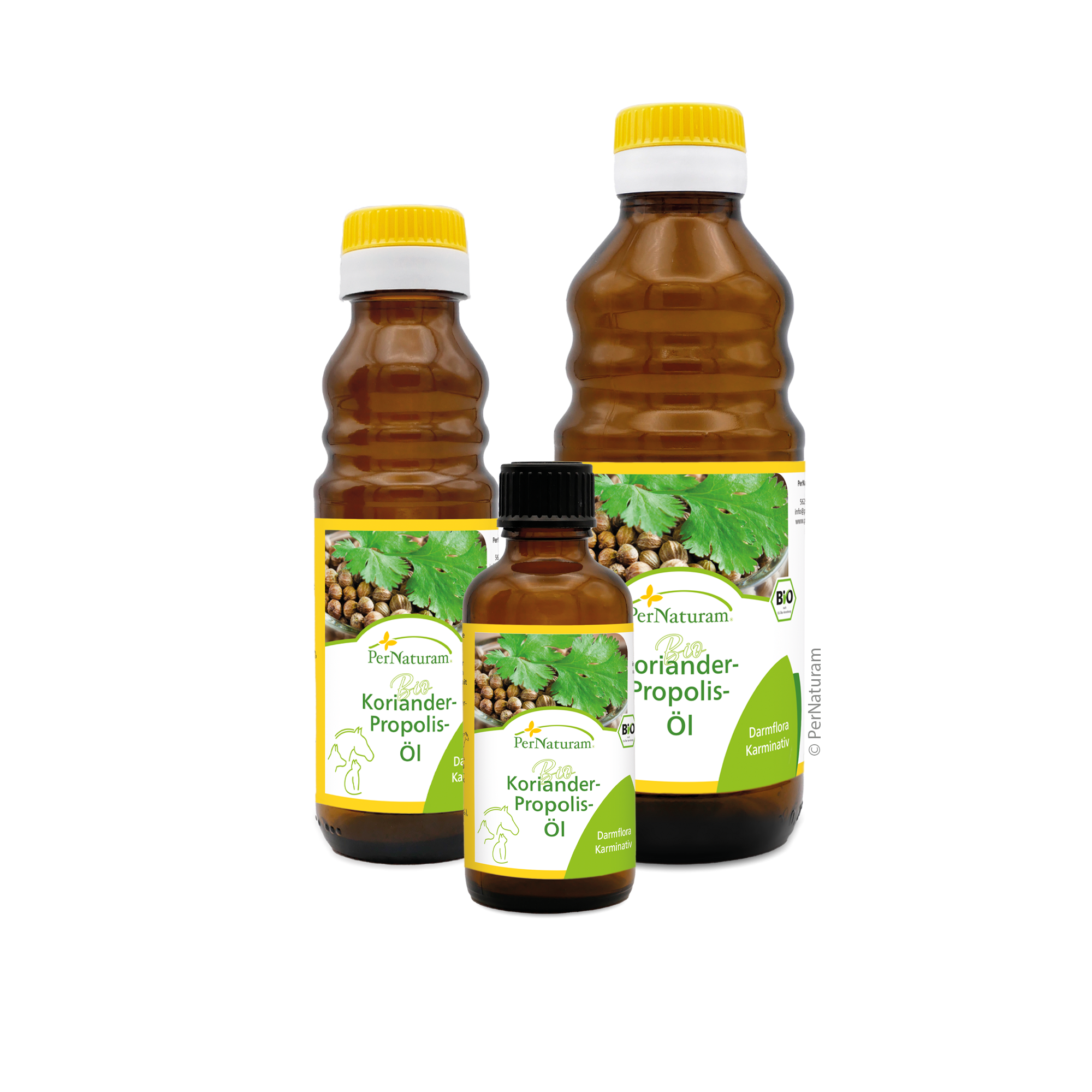 Biologische koriander propolis olie