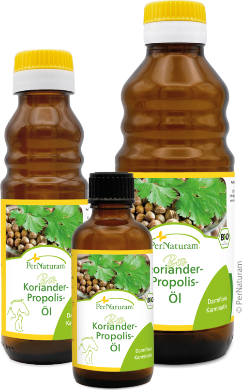 Biologische koriander propolis olie