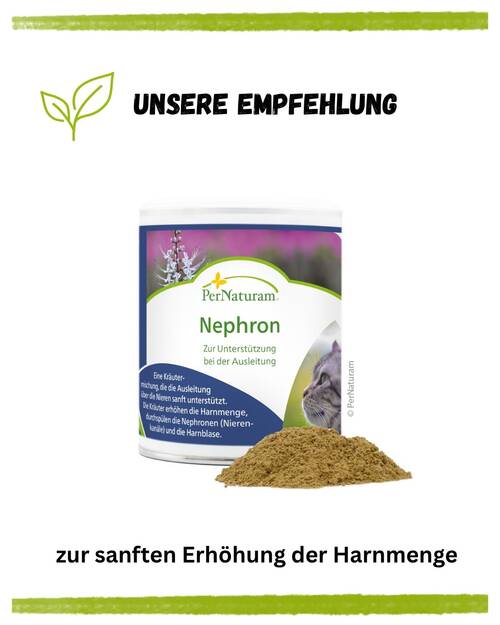 Harnstein Katzen Kurz & Knapp 3
