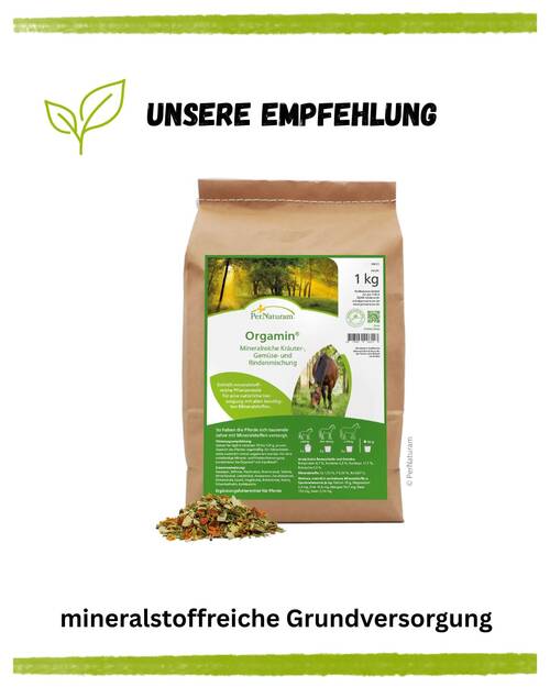 Artg Pferdefütterung Unsere Empfehlung kurz & knapp