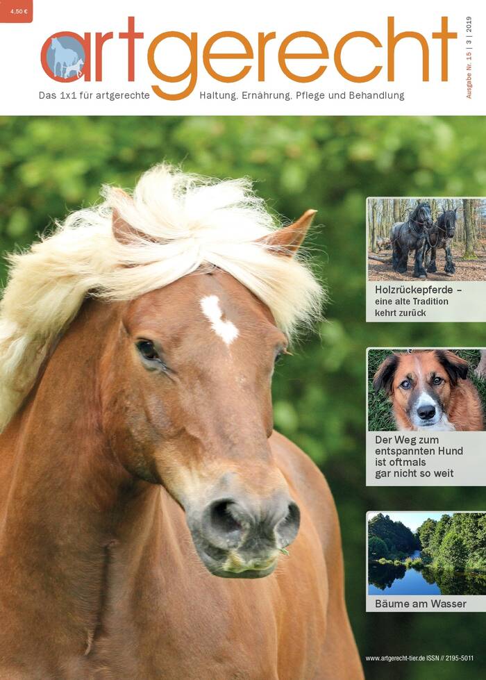 artgerecht - Dezember 2019  Ausgabe 15