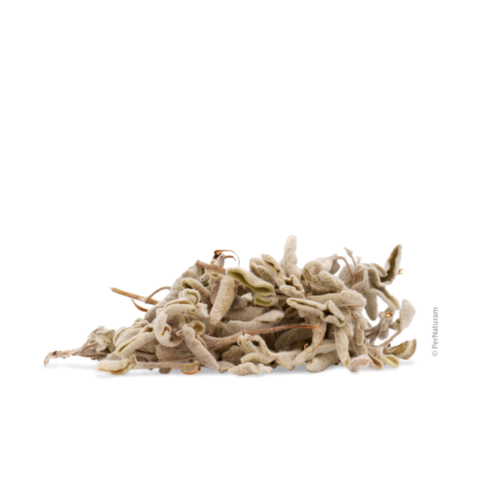 Kretischer Salie (200 g)