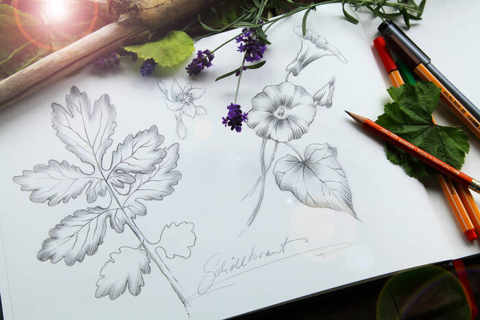 Workshop - Mit dem Skizzenbuch die Natur erleben