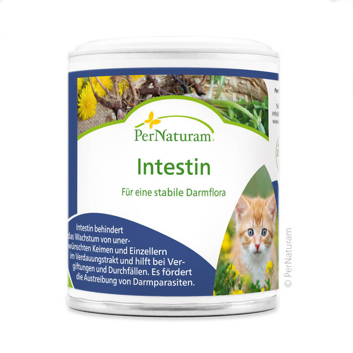 Intestin - Voor een stabiele darmflora 50 g