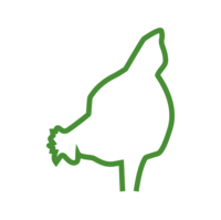 Icon Geflügelprodukte