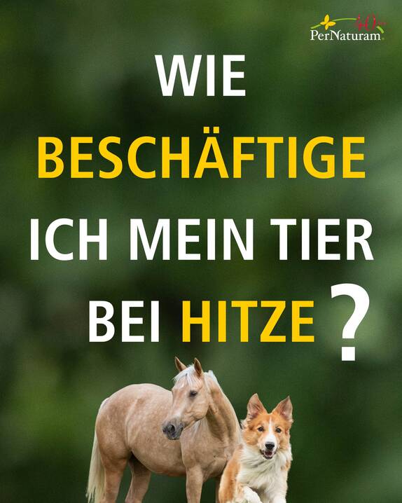 www.instagram.com/p/DbYd_EIjDGt