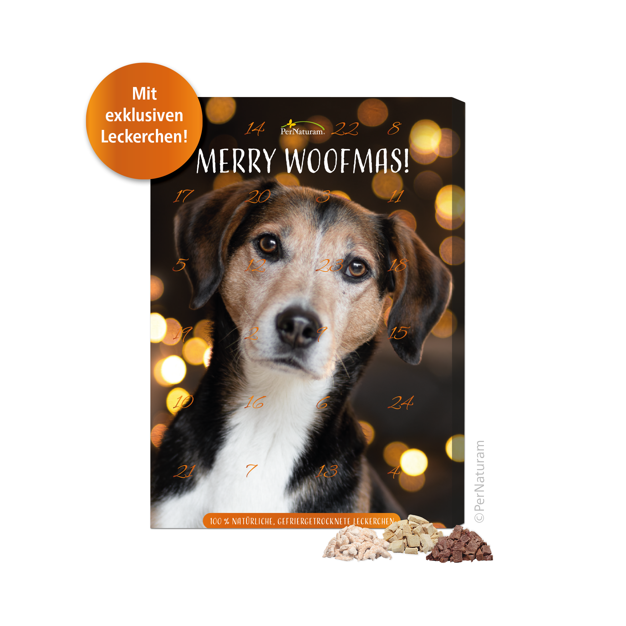 Adventskalender für Hunde