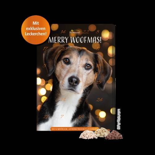 Adventskalender für Hunde