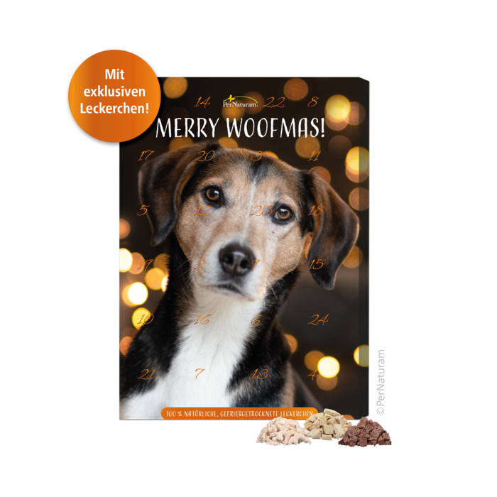 Adventskalender für Hunde