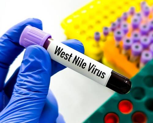 blog/viruserkrankungen-beim-pferd-west-nil-virus