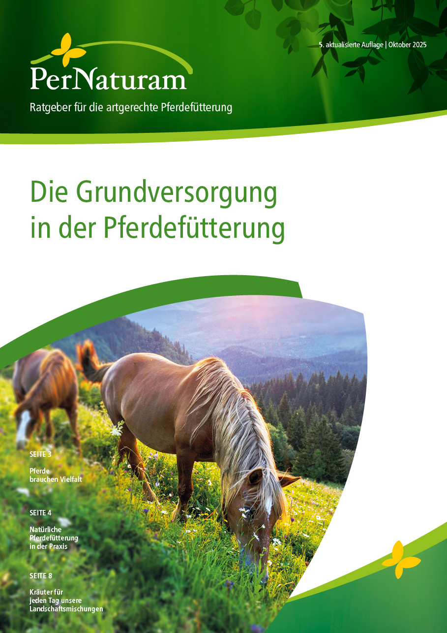 De Basisverzorging in paardenvoeding