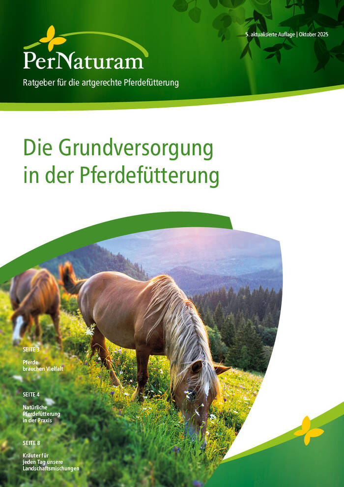 De Basisverzorging in paardenvoeding