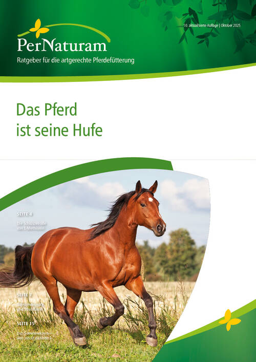 Het paard is zijn hoeven