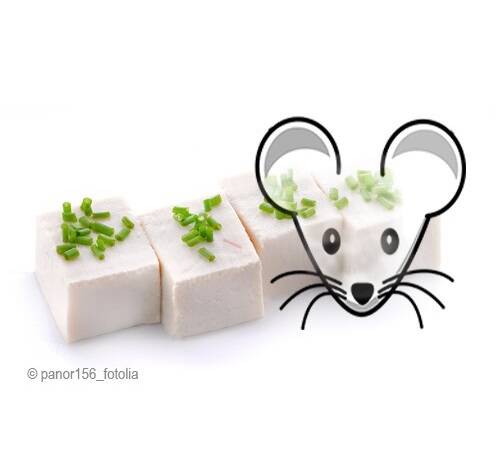 blog/das-problem-mit-der-soja-maus