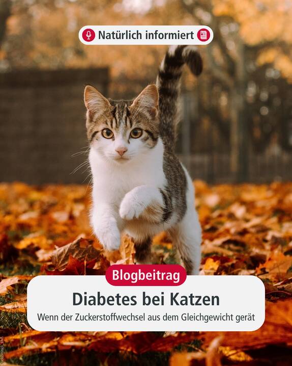 www.instagram.com/p/DeSMgqpCn5T