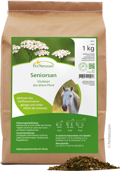 Seniorsan
