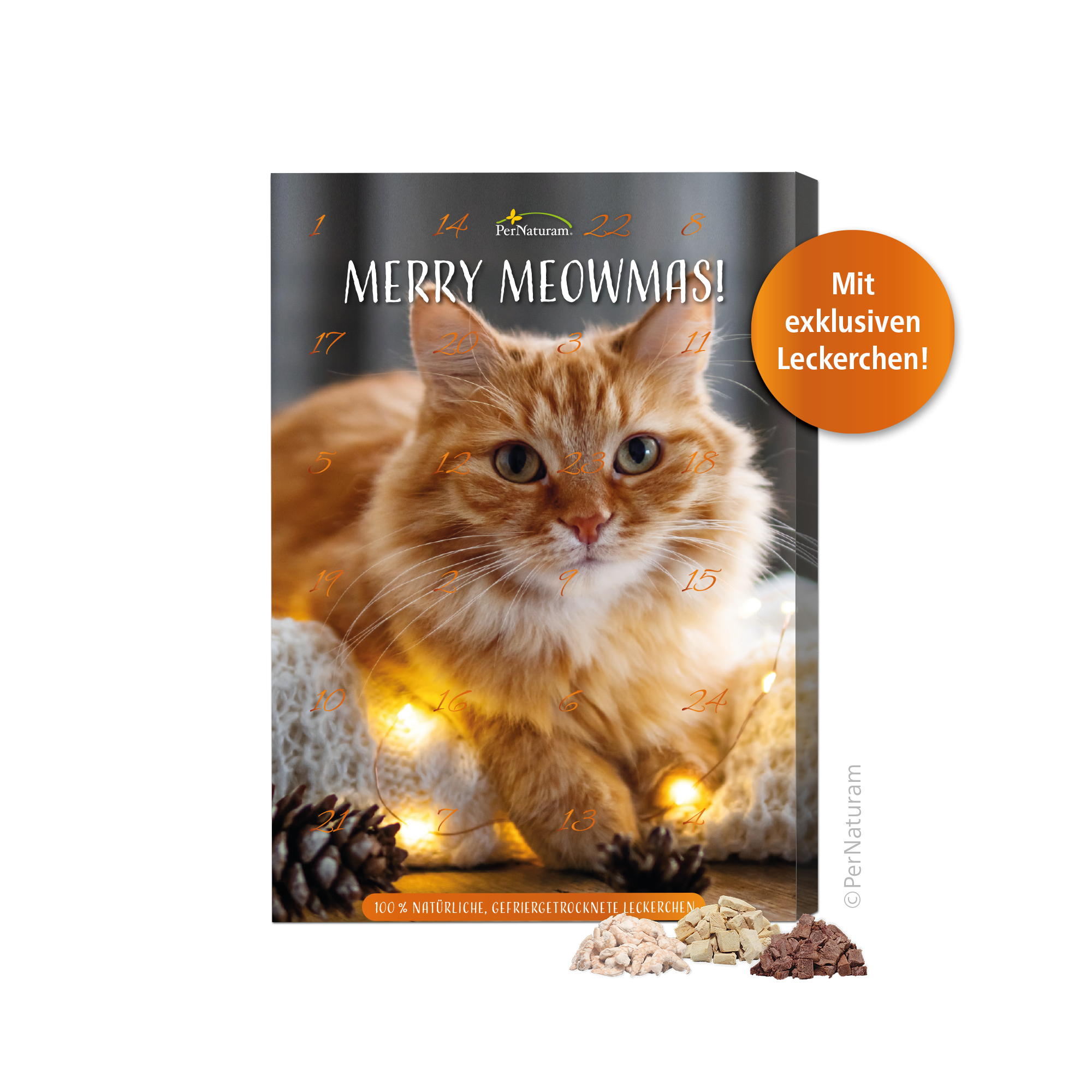 Adventskalender für Katzen