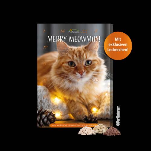 Adventskalender für Katzen