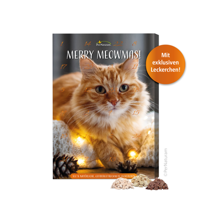 Adventskalender für Katzen