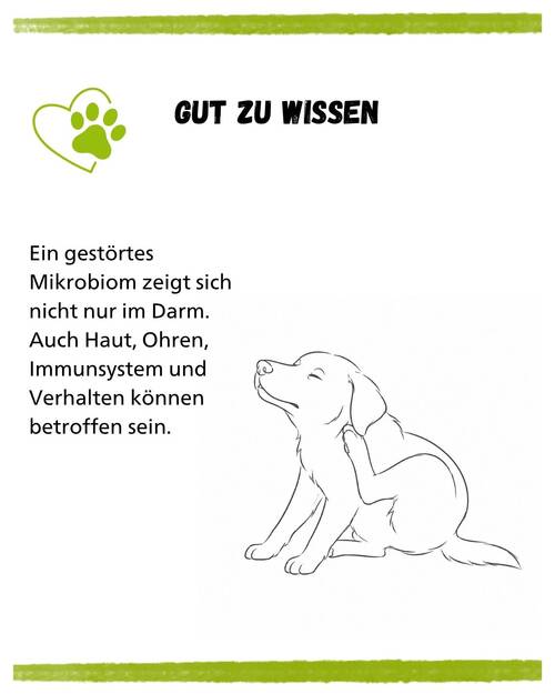 Mikrobiom Hund Kurz und knapp  gut zu wissen