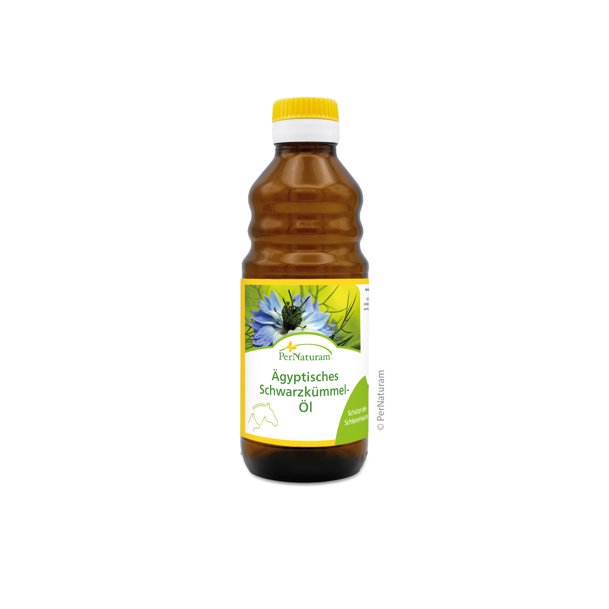 Egyptische zwarte komijnolie ( 250 ml )