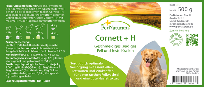 Cornett + H