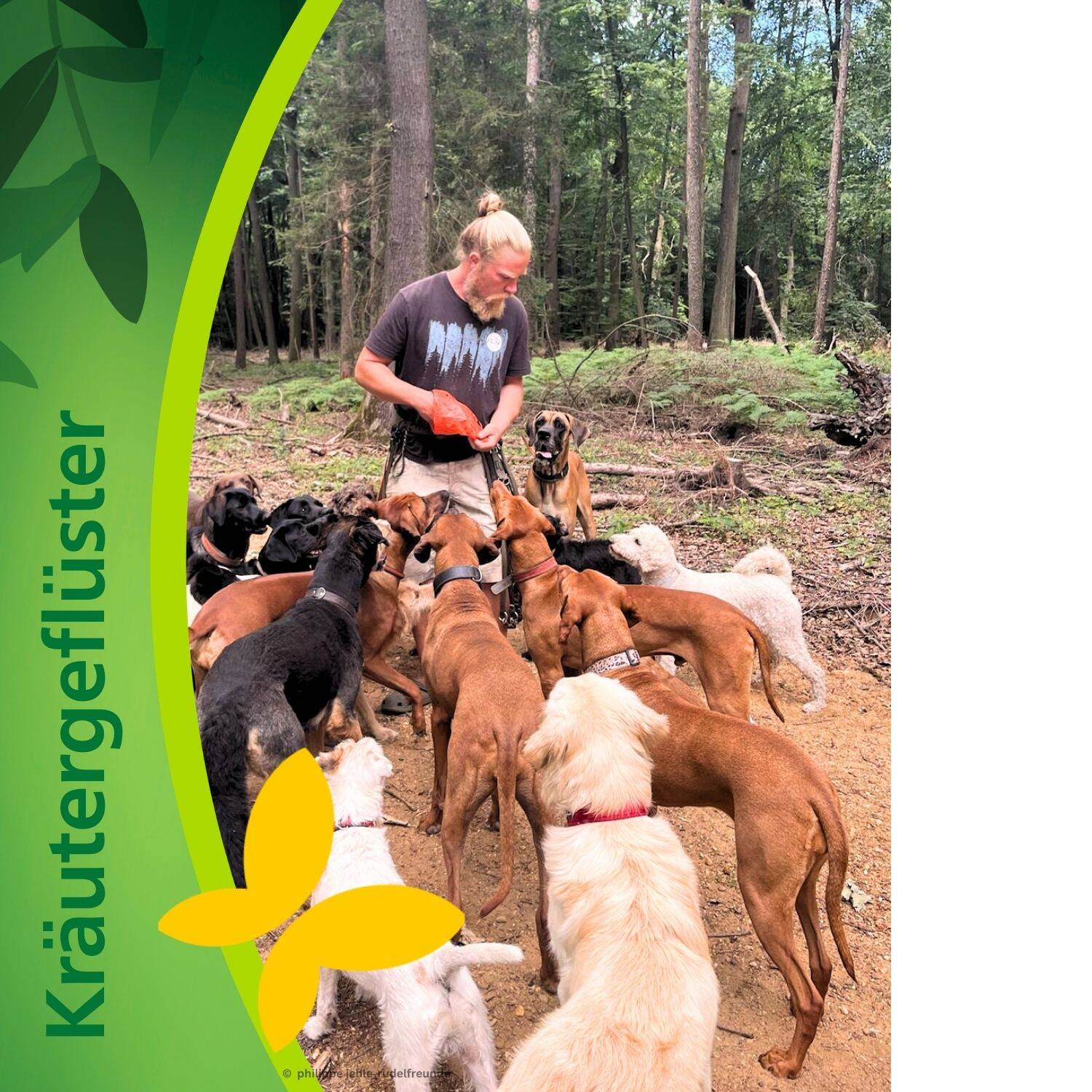 podcast/hund-mensch-team