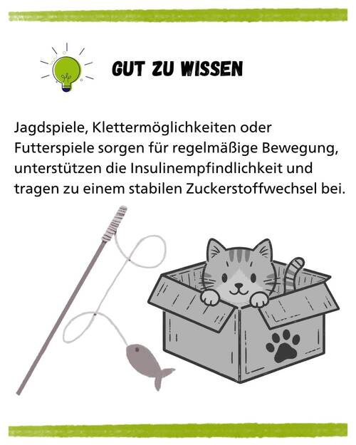 Diabetes Gut zu wissen