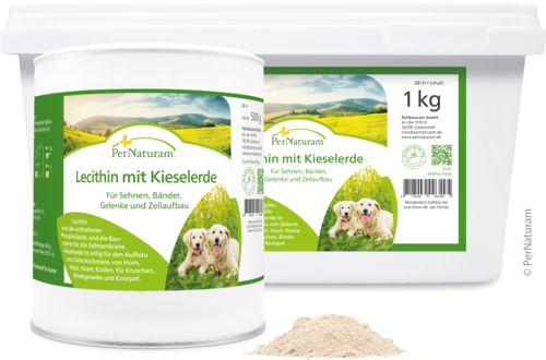 Lecithine met Silica