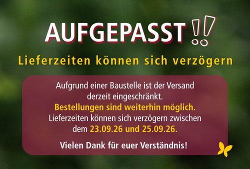 Störung