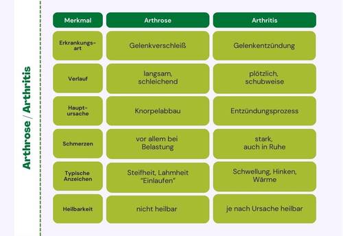 Grafik NEU