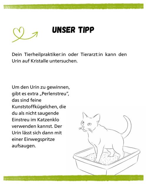 Harnstein Katzen Kurz & Knapp 2