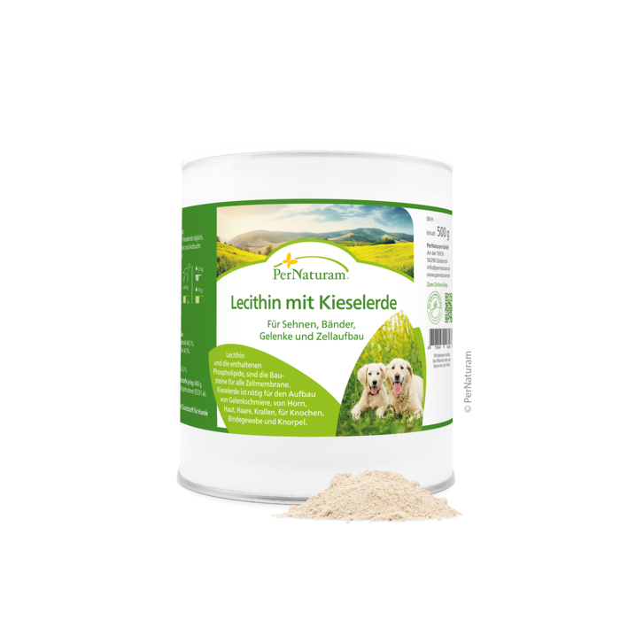 Lecithine met Silica 500 g