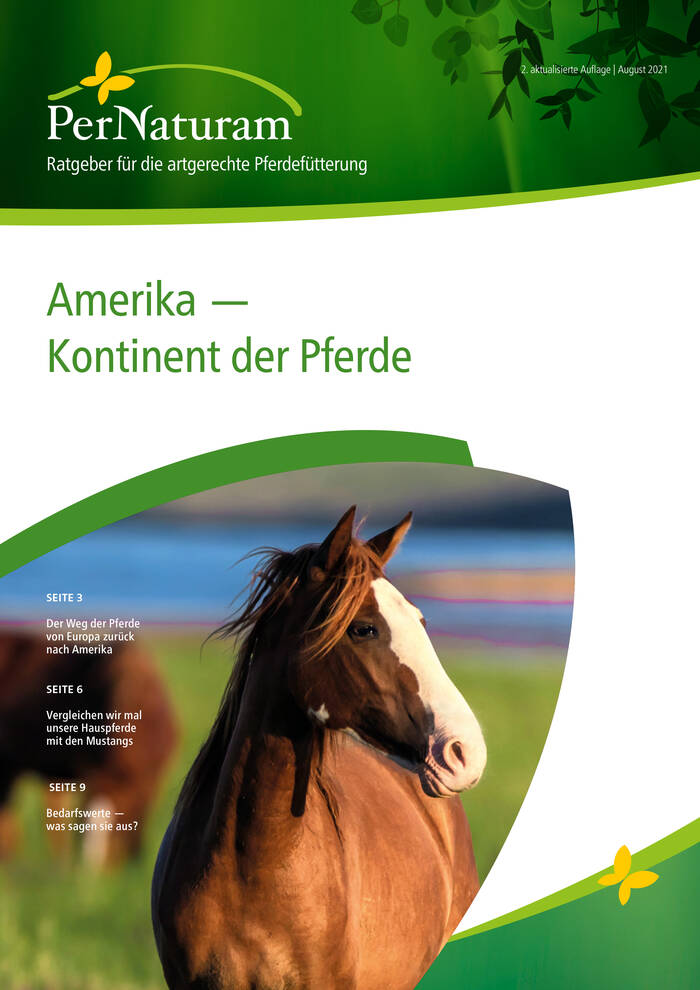 Amerika - Kontinent der Pferde
