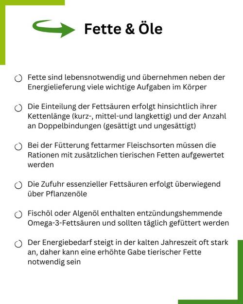 Summary   große Datei