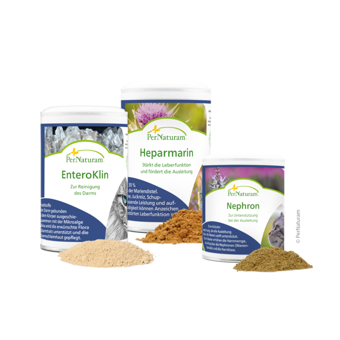 Ausleitungs-Paket Katze