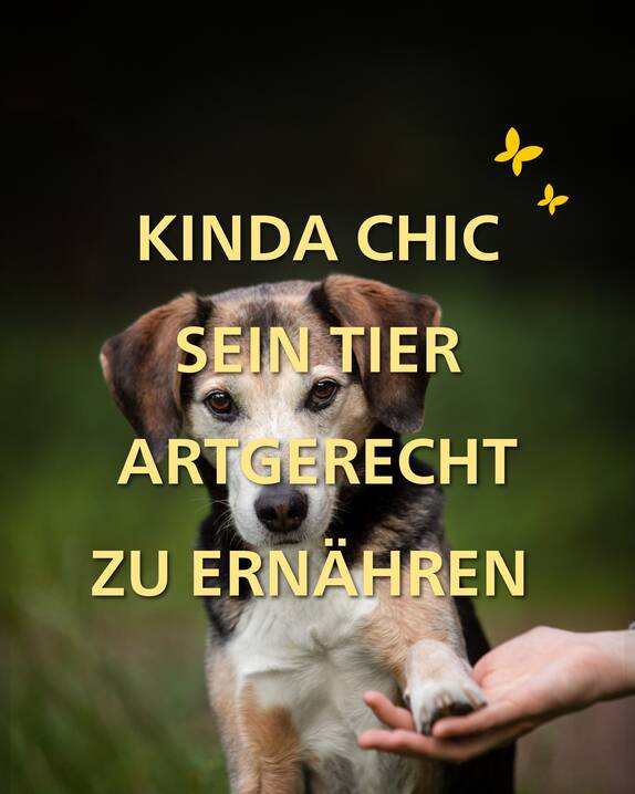 www.instagram.com/p/DceJLQigJZF