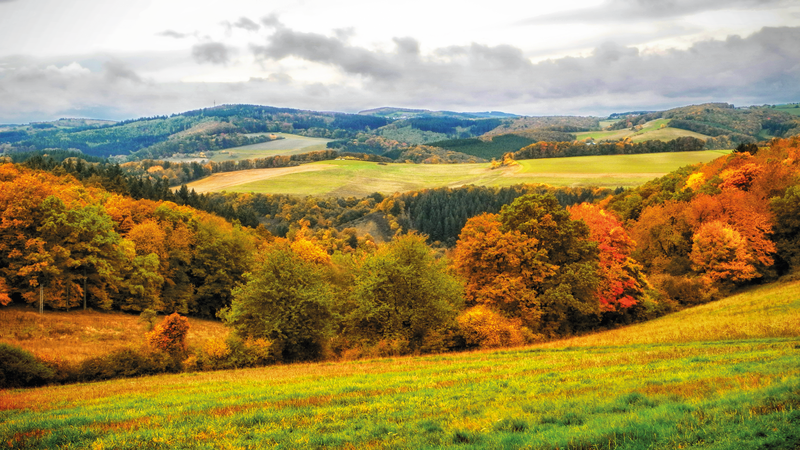 Hunsrück herbst 2013