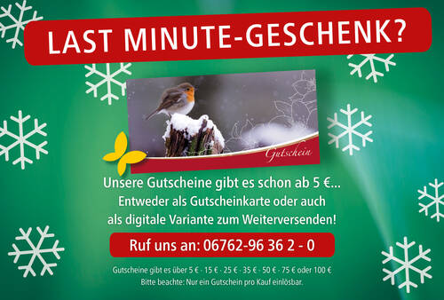 PopUP Shop 1080 x 730 Gutscheine 2025